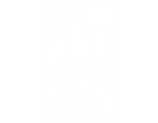 福島 活魚料理 - 鯖とか烏賊とか真とか -